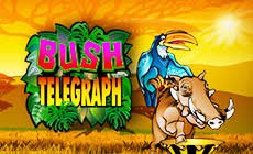 Bush Telegraph игровой автомат