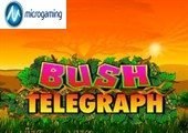 Bush Telegraph