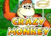 Crazy Monkey